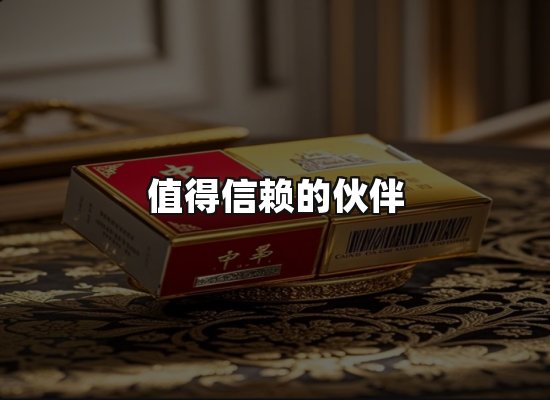 专业优势